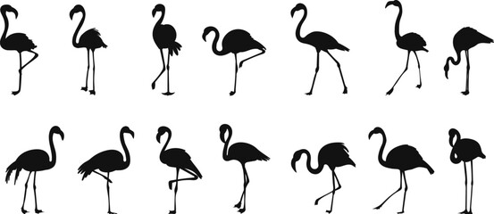 flamingo set, silhouette collection on white background vector