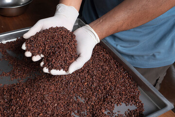 Cocoa nibs in hand  in cocoa factory