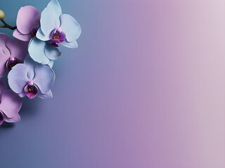 Purple orchid flower background.