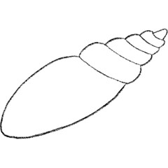 Seashell & Starfish Outline