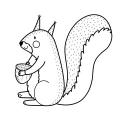 Cute squirrel with acorn in sitting position isolated in black and white. Forest character in outline for kids design. Woodland animal. Vector illustration