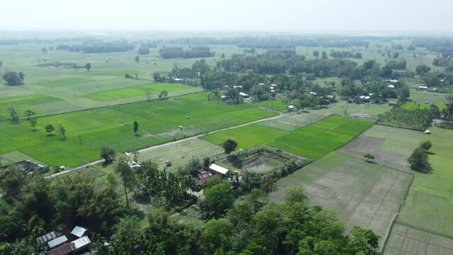 Drone view shot of asian largest river island majuli  Island.