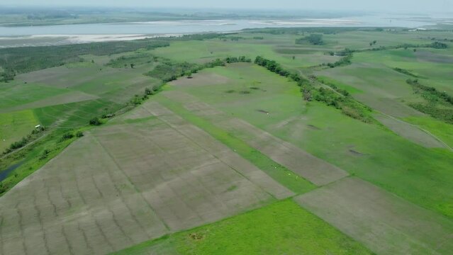Drone view shot of asian largest river island majuli  Island.
