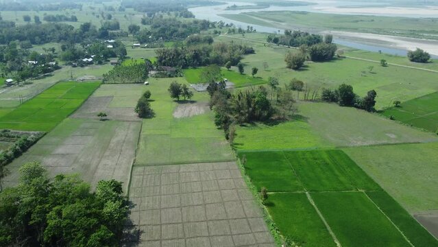 Drone view shot of asian largest river island majuli  Island.