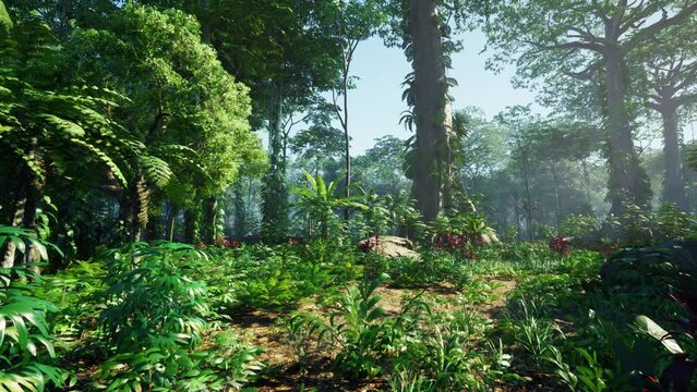 inside a rainforest covered in bright green moss