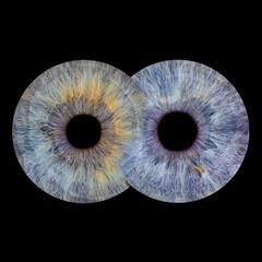 Two human irises on black background in a shape of infinity 