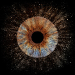 Human blue snd brown iris on black background. Bright pupil close up in macro