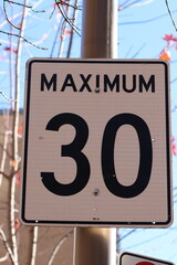 an image of a maximum sign on a pole near a tree