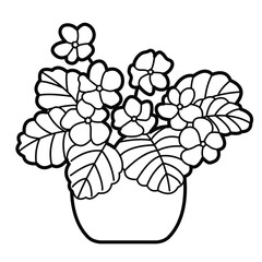 African violet (Saintpaulia) houseplant in flower pot. Outline illustration, design elements or page of coloring book