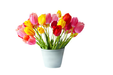 Multicolored tulips in a vase, isolated on white background