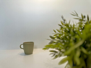 Coffee cup with green plant on white background. Creative photo.