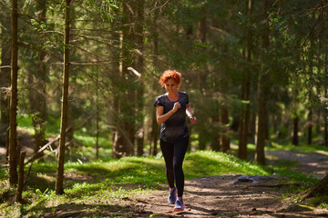 Woman trail runner in the forest - 808651228