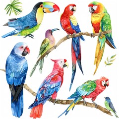 Exotic Aviary Watercolor Birds Clipart featuring rare and exotic bird species from around the world, rendered in stunning detail , water color ,clipart 