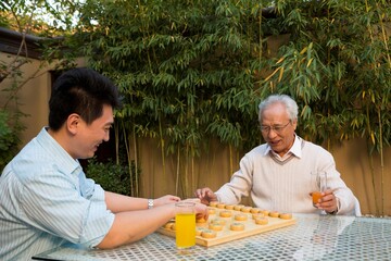 Father and son in the yard to play chess