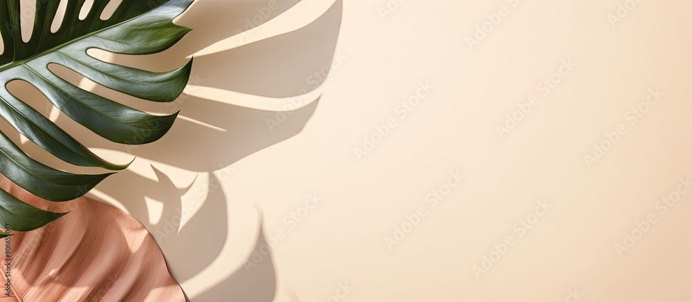 Aufkleber a flat lay copy space image with a minimal summer concept featuring a top view of a tropical leaf sh