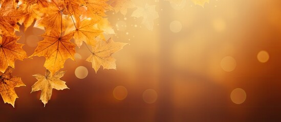 Copy space image of a vibrant autumn scene with realistic leaves in shades of orange and yellow The blurred background creates a warm and inviting atmosphere perfect for text or a banner It embodies