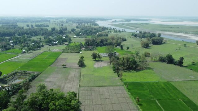 Drone view shot of asian largest river island majuli  Island.