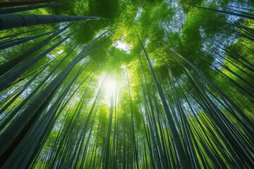 Serene Bamboo forest daylight. Plant place. Generate Ai