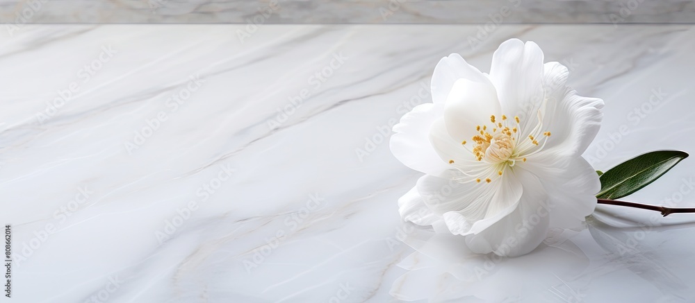 Poster a white cotton flower is placed on a marble table creating a background for a copy space image