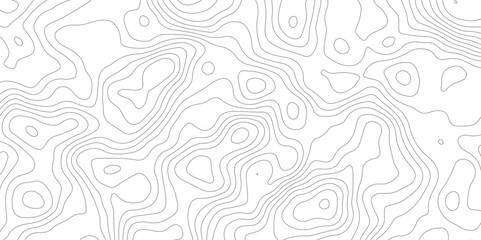 White topology topography vector abstract background map texture