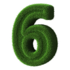 3d grass green number 6