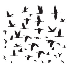 Vector set of birds flying in silhouette style