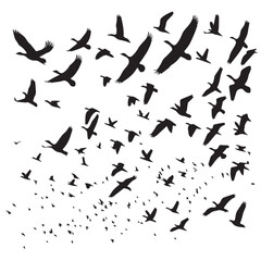 Vector set of birds flying in silhouette style