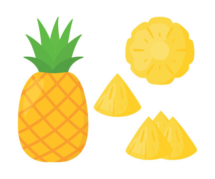 Pineapple Slices Collection Tropical Summer Fruit Doodle Vector Illustration
