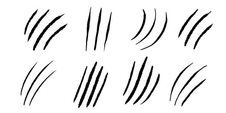 Clows scratches silhouette marks, cat or wild animal scrape track scratches paw shape isolated on white background. Nails trace texture with torn edge.