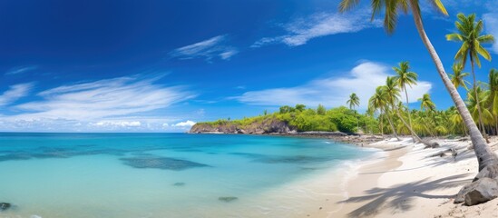 A sunny tropical paradise beach with coconut trees and a clear blue sky dotted with clouds The panoramic view showcases the summer tropical landscape creating a perfect backdrop for travel and touris