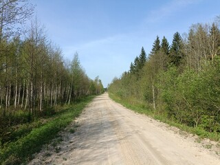 Road in forest in Siauliai county during sunny summer day. Oak and birch tree woodland. Sunny day with white clouds in blue sky. Bushes are growing in woods. Sandy road. Nature. Miskas.