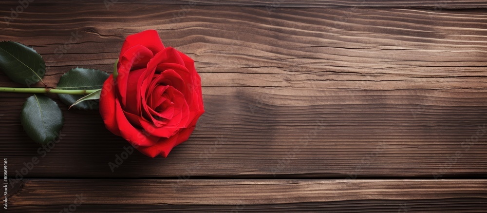 Poster a romantic valentine s day image with a red rose on a wooden background expressing love. copy space 