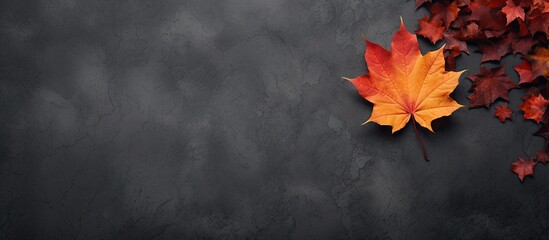 A maple leaf rests on a dark concrete surface surrounded by autumn leaves The image is captured from above presenting a flat lay perspective with empty space for text It conveys the essence of the au