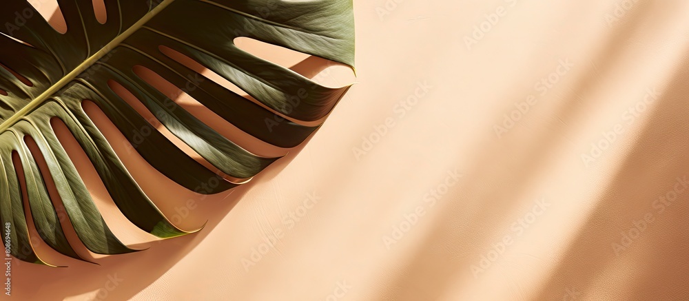 Poster a flat lay copy space image with a minimal summer concept featuring a top view of a tropical leaf sh