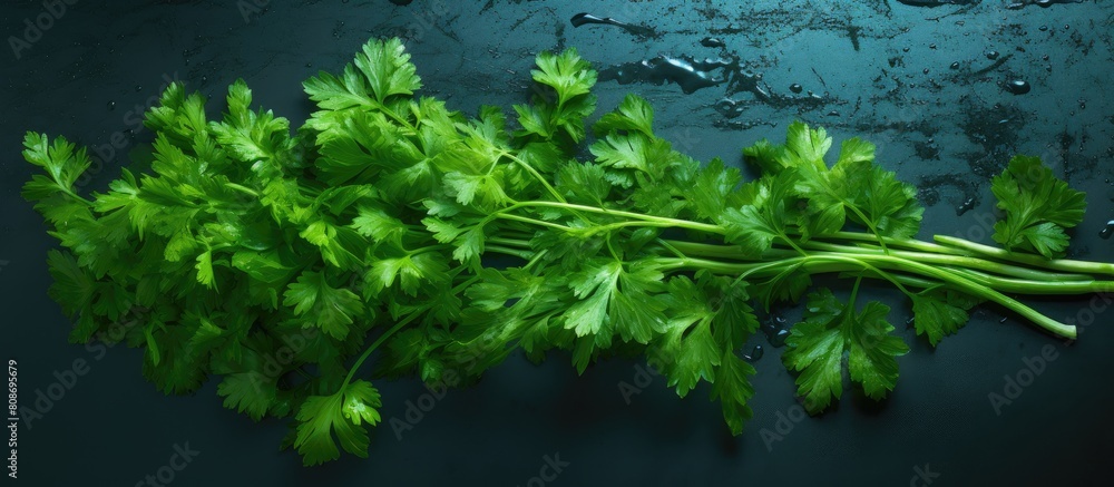 Poster parsley that has been dried resulting in a lack of moisture. copy space image. place for adding text