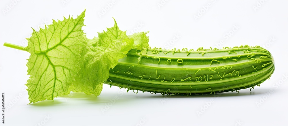 Aufkleber bitter melon or bitter gourd herbal juice showcased on a white background with a vacant area for tex