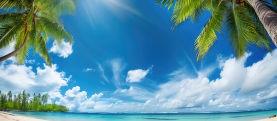 A tropical island beach panorama with palm tree leaves framing a blue sky and white clouds A perfect backdrop for travel and vacation designs with copy space