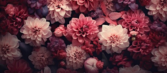 Color filter adorned flowers create an enchanting display adding an aesthetic appeal to any scene ideal for copy space images