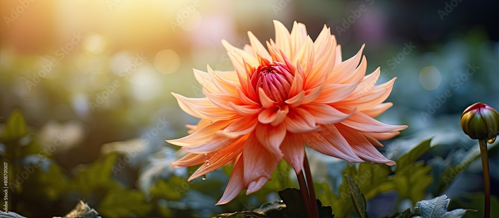 Poster a flower in the garden is captured in a closeup providing a clear view of its intricate details the 