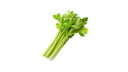 Fresh and organic celery, perfect for a healthy snack or to add to your favorite recipes.