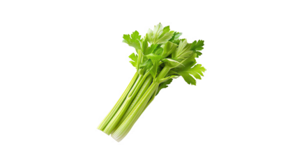 Fresh and organic celery, perfect for a healthy snack or to add to your favorite recipes.