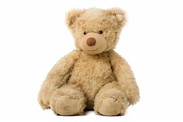 Plush teddy bear with a smiling face seated against a white background
