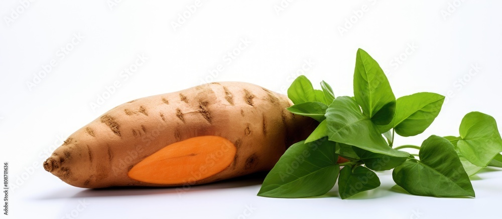 Aufkleber A fresh sweet potato accompanied by a leaf set against a white background creating a distinct copy space image