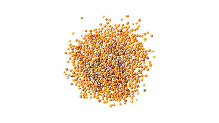 Tiny round yellow mustard seeds isolated on black background.