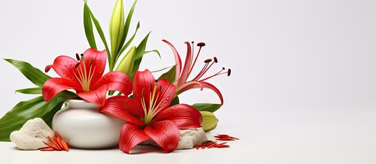 Obraz premium White background with copy space image featuring a beautiful arrangement of red lily green leaf and stone all symbolizing an organic aromatherapy concept