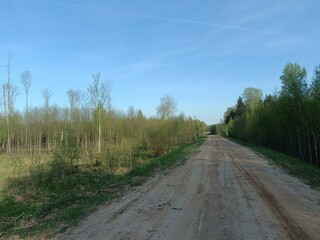 Road in forest in Siauliai county during sunny summer day. Oak and birch tree woodland. Sunny day with white clouds in blue sky. Bushes are growing in woods. Sandy road. Nature. Miskas.