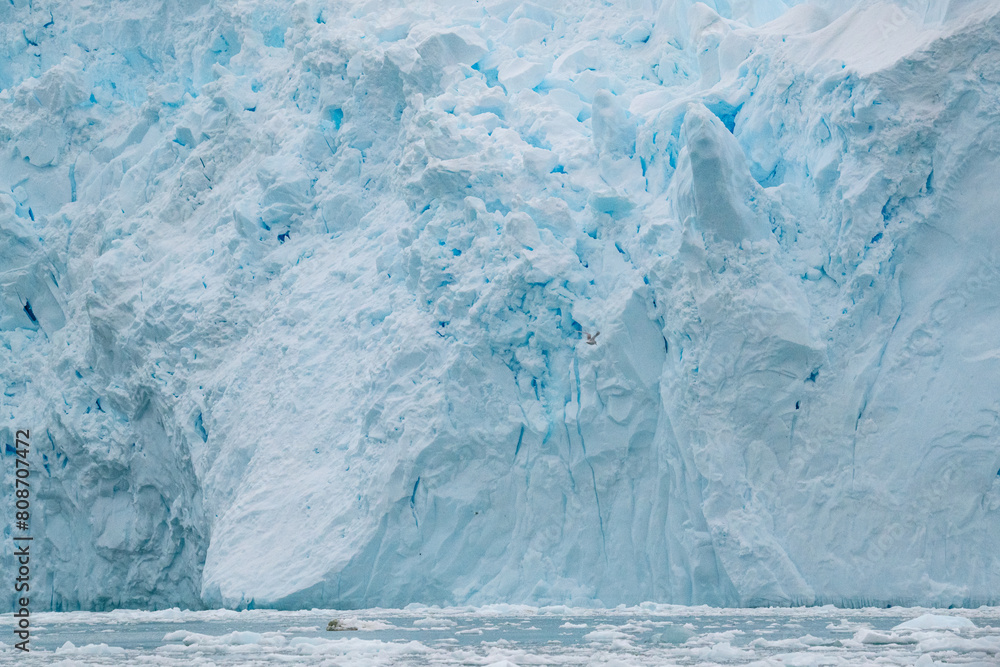 Wall mural glacier in antarctica