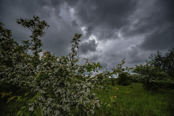 WEATHER - Dramatic black rain clouds over fields and country road
