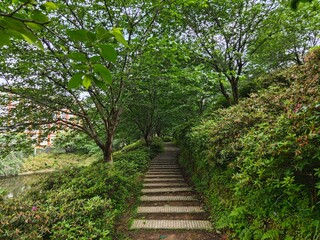 path in the park