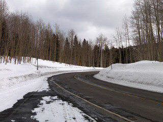 Fototapeta premium Snow road
